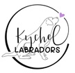 Kychel Labradors