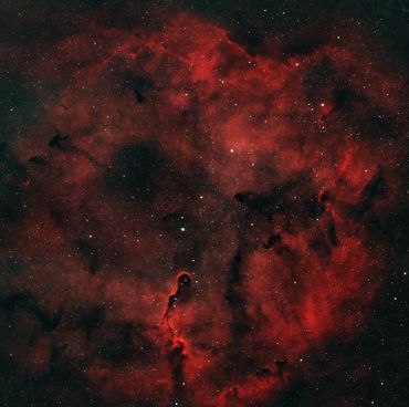 IC1396A Elephant Trunk Nebula. Taken with William Optics Redcat51, ZWO ASI533MC-Pro, ZWO ASIAir, ZWO