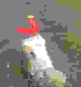 image464