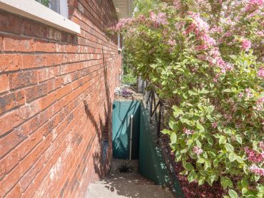 A side yard with a brick wall and blooming pink flowers along a green fence.