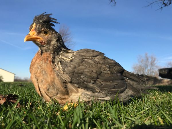 Wick Place Candles and Farm photo 8