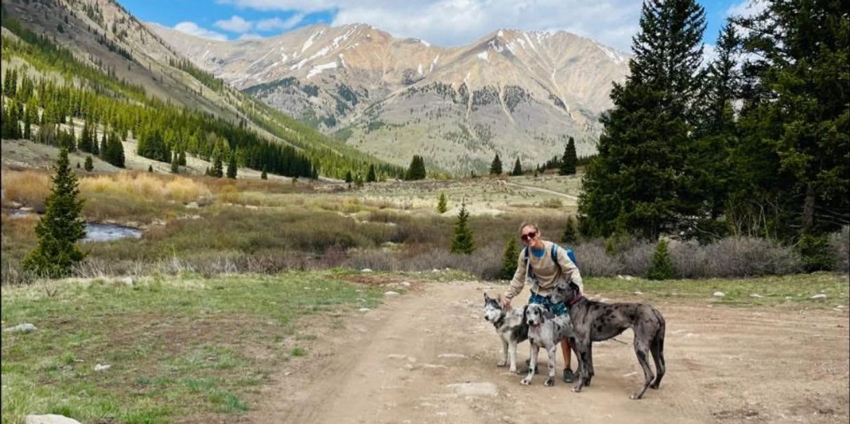 A person hiking with three dogs in a mountainous landscape under a partly cloudy sky.