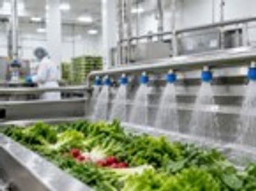 Industrial washing of fresh vegetables in a large facility.