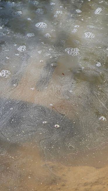 Foamy water surface with muddy details.