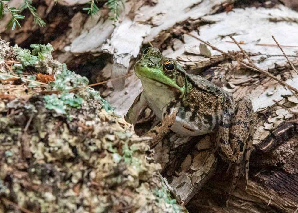 Interpretive Center, New York