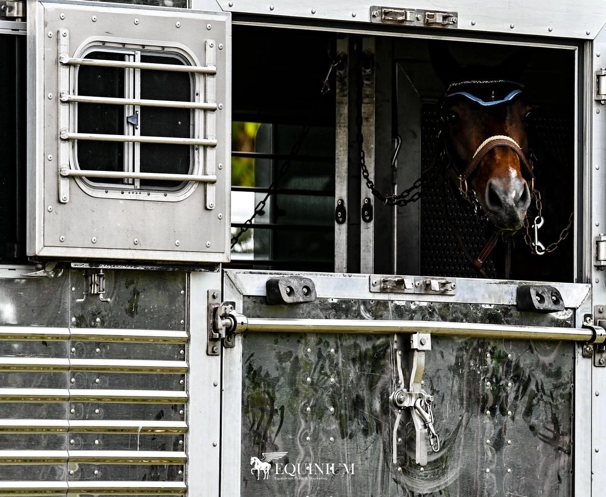 Horse Trailer with TechnoRV Equipment