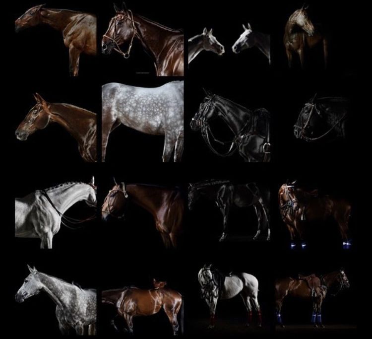 Cartier Queen S Cup And Espn Polo Casares Illuminates Us Uk