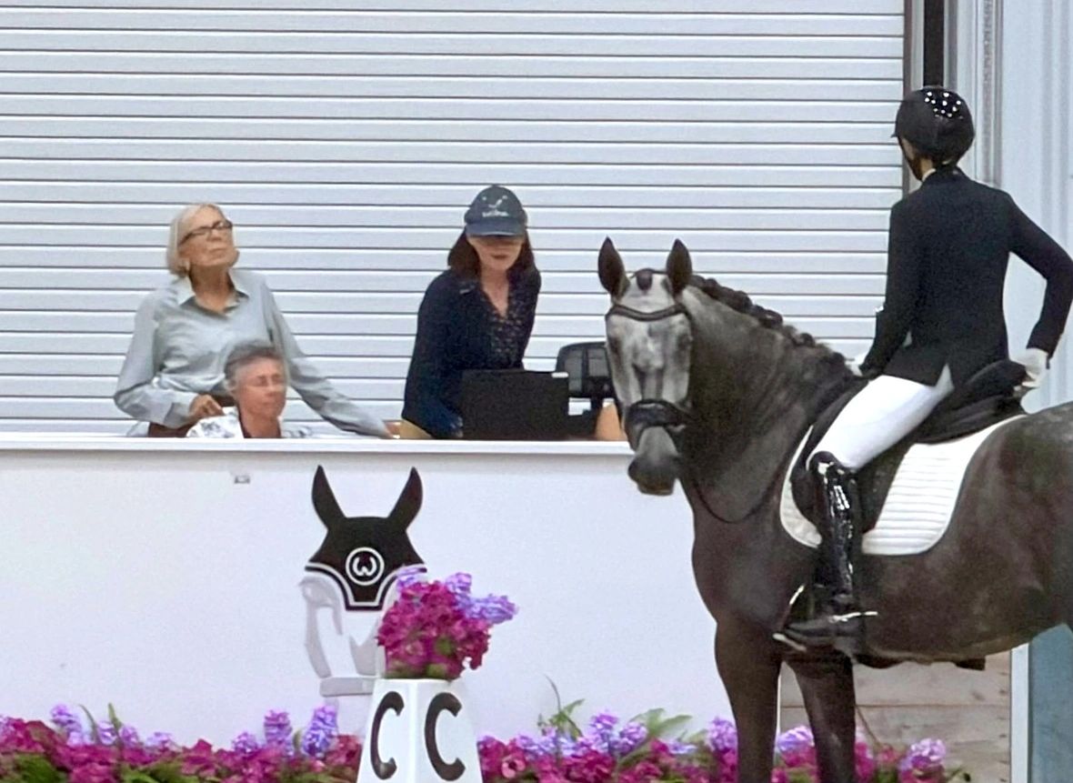 Sorrateiro Interagro and Chelsey Miller chatting with the judges after their test (Photo by BREC Dressage)