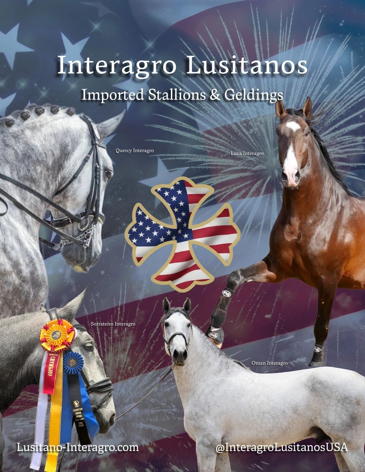 Just a few horses imported by Interagro Lusitanos