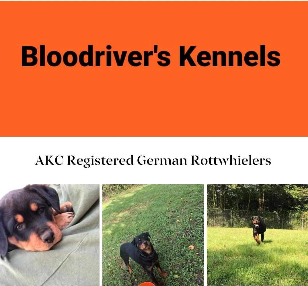 Blood River Kennels