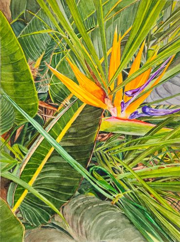 art decor, wall art, flower art, floral art  floral painting, home goods,  bird of paradise; fineart