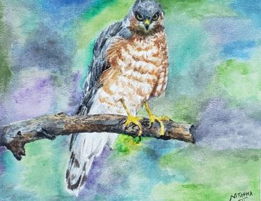 animal art; animal paintings; wall art; wall decor; decor ideas; bird; bird painting; bird wall art