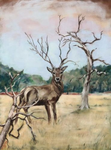 animal art; animal paintings; wall art; wall decor; decor ideas; stag; 