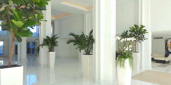 Sun and Surf, 100 and 130 Sunrise Ave., Palm Beach, view information, mls listings, condos for sale, lobby,Jacqueline Zimmerman, Realtor (561) 906-7153, Adam Zimmerman, Realtor (561) 906-7152.