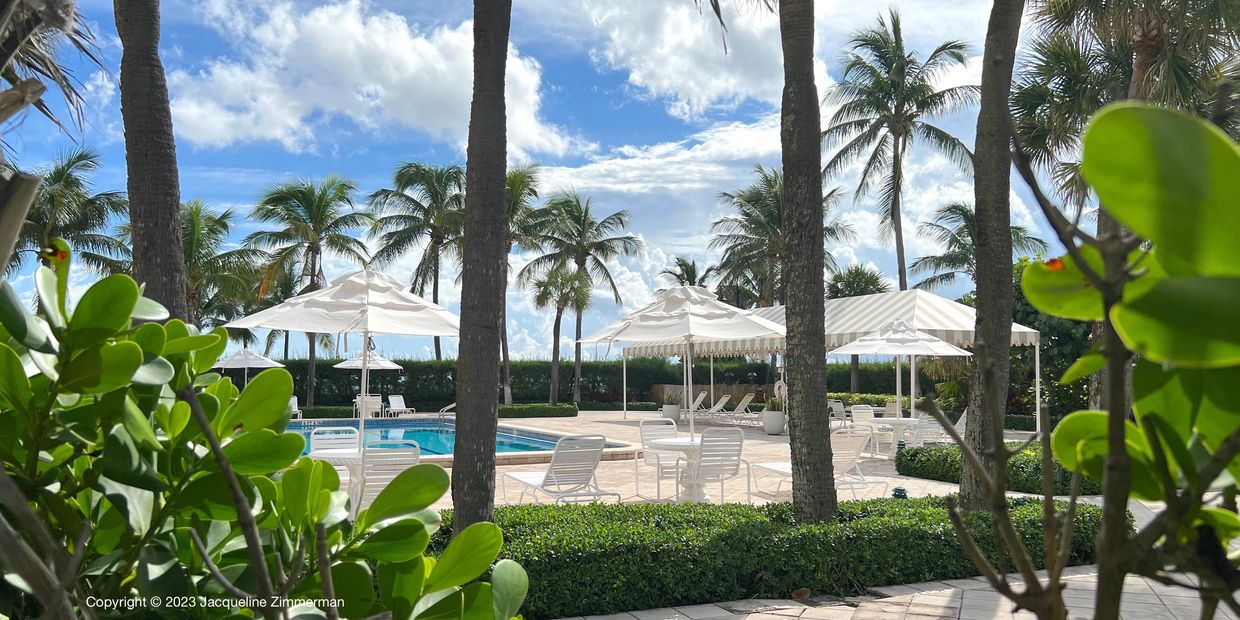 Ocean Towers, 170 N Ocean Blvd, Palm Beach, pool deck with white and tan umbrellas, palm trees