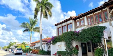 Palm Beach Lifestyle Guide - Distinctive Palm Beach Properties