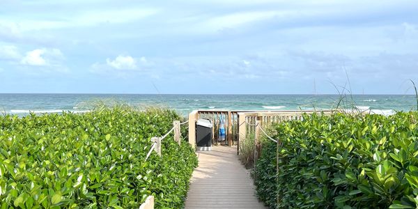 Path to beach surrounded by green beach plants, 2600 Building, 2600 S Ocean Blvd., Palm Beach