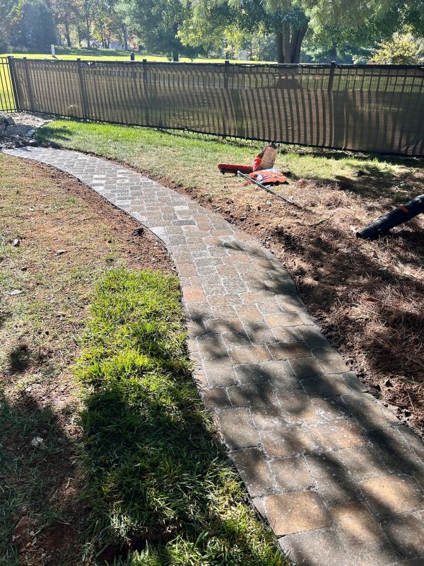 Curved stone pathway in a sunny garden.