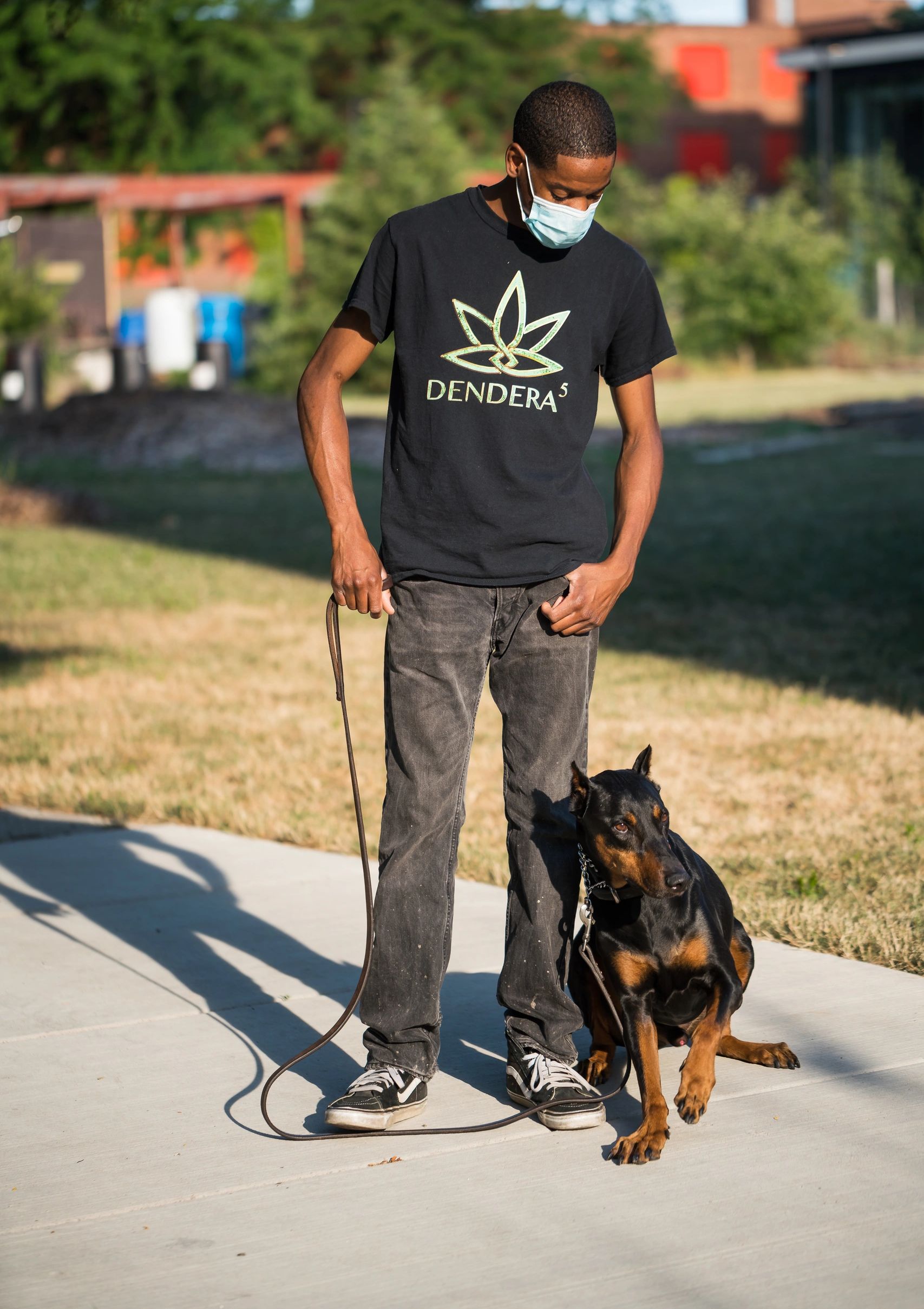 How Do You A Professional Dog Handler