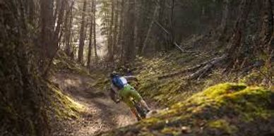 Home  Mountain Biking BC