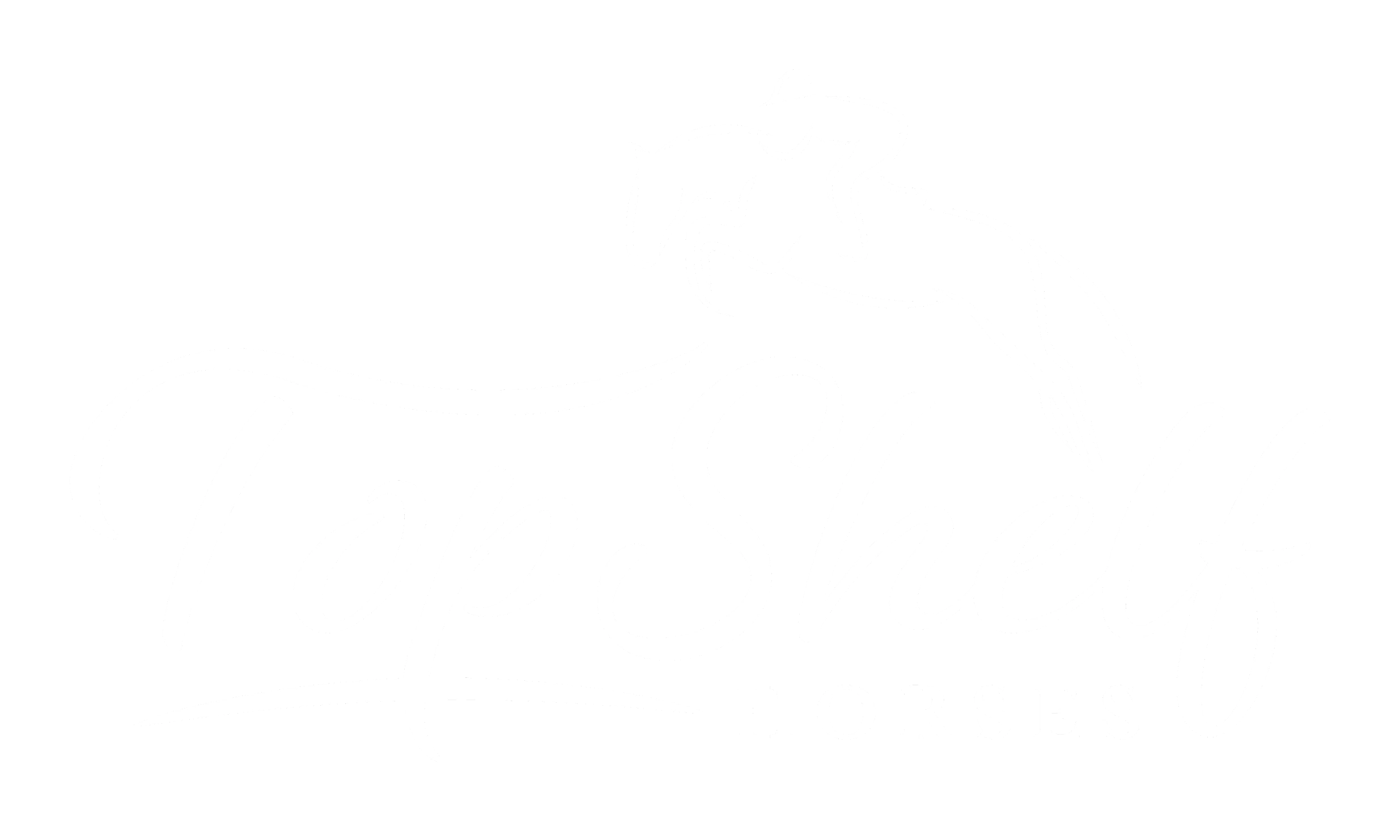 Where to Buy Horses in Germany Top Shelf Horses