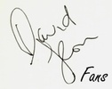 David Leon Fans