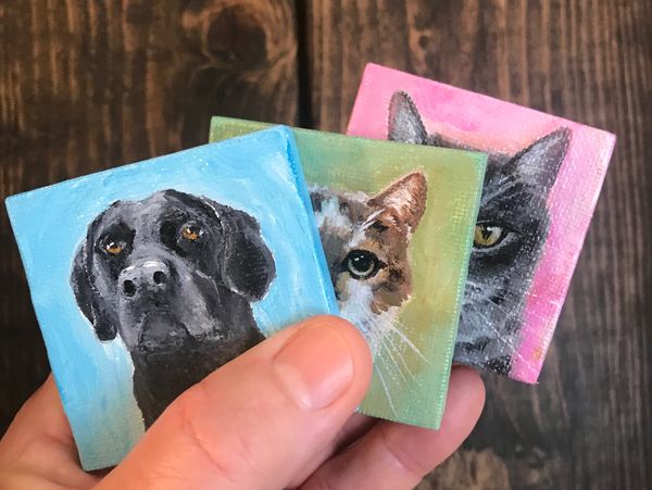 mini pet portraits by artist lisa fasulo