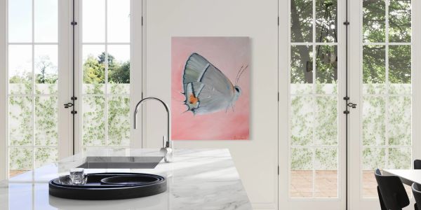 gray butterfly on pink canvas in a white kitchen