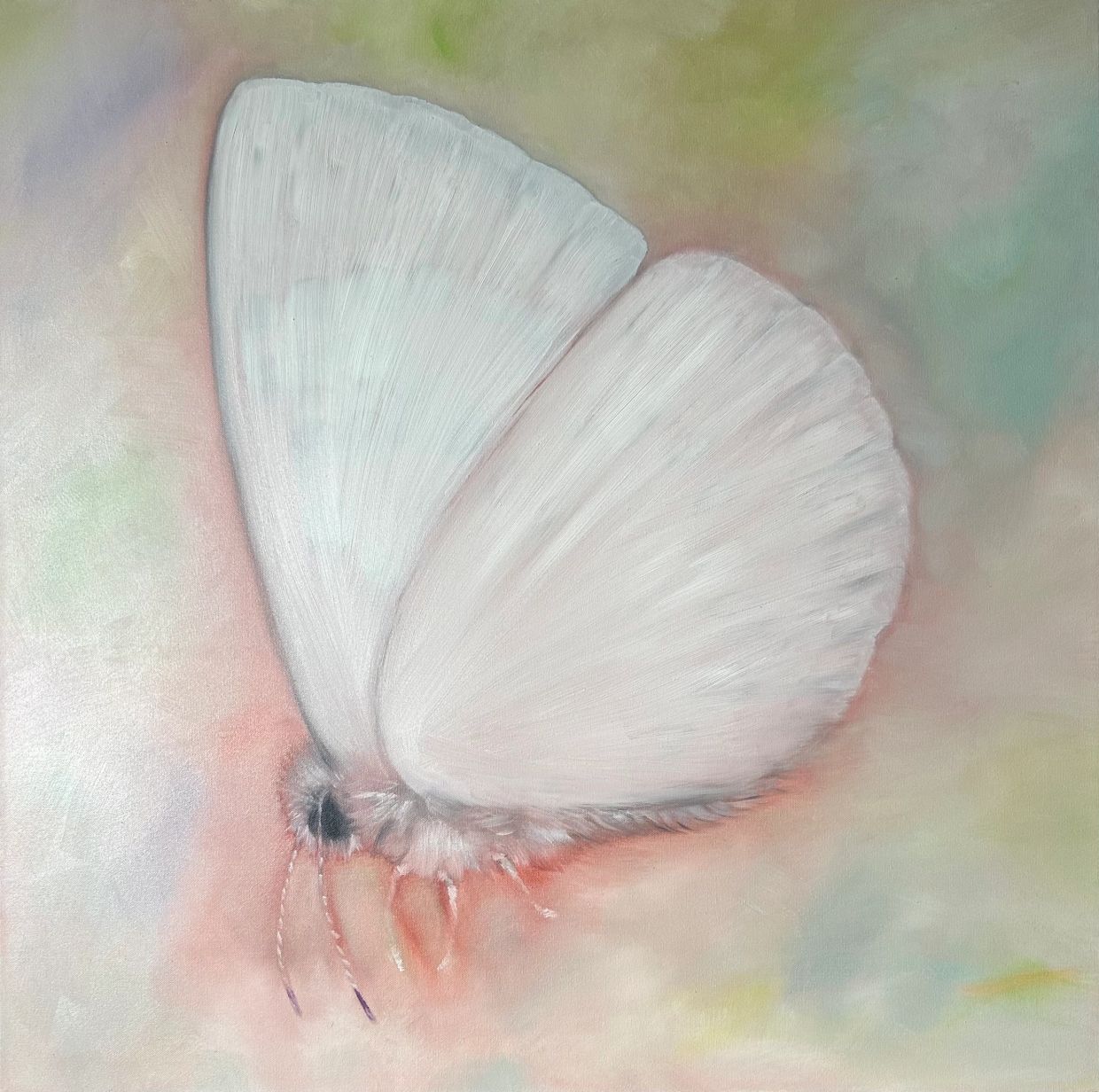 painting of a small white butterfly