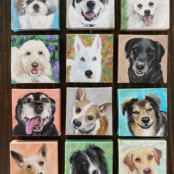  lisa fasulo art , hand painted pet portraits