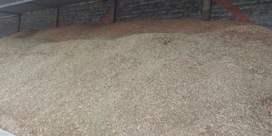 Large heap of grain stored inside a warehouse.