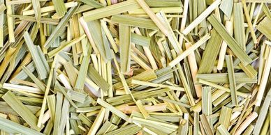 Close-up of dried lemongrass pieces.