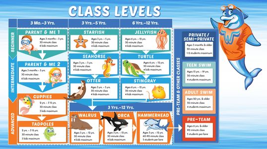 Swimming lesson class levels