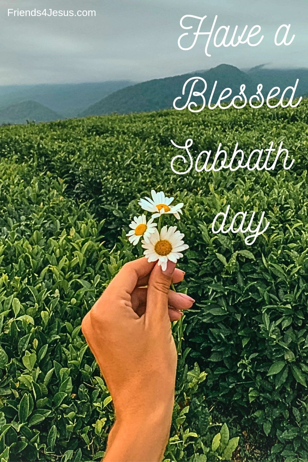 Happy Sabbath