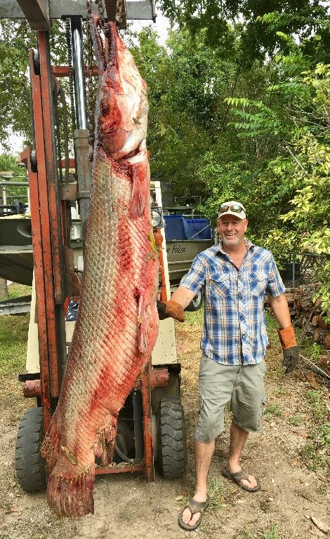 Empates Texas e Carolina   - pesca ao achigã