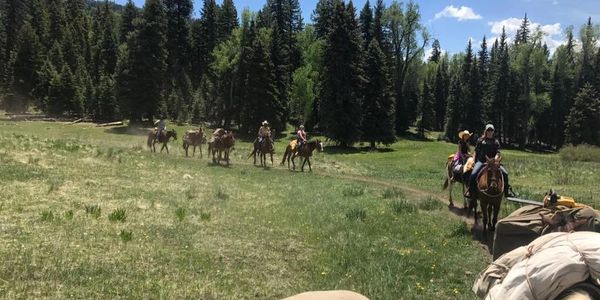 Pack string leading the way into camp