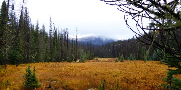 Fall changing the colors of the mountains