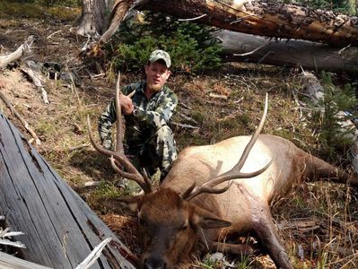 Gorgeous archery bull from a CHO drop camp.  