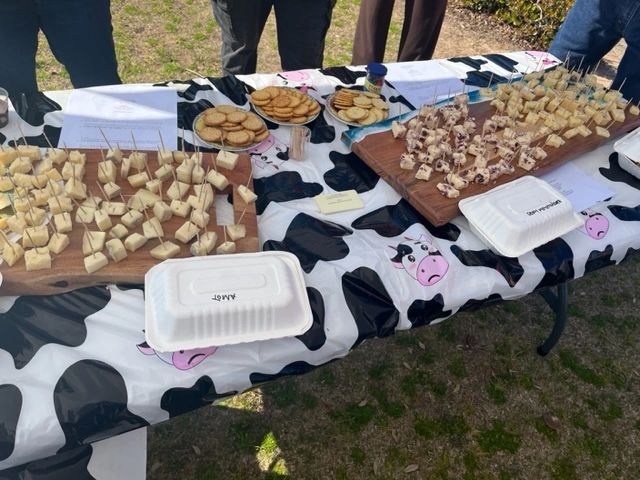 2024 Pensacola Chocolate and Cheese Fest