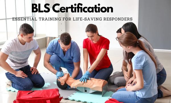 Group training in BLS certification with CPR practice on a mannequin.