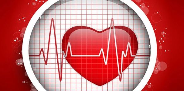 Red heart with heartbeat graph on a grid background.