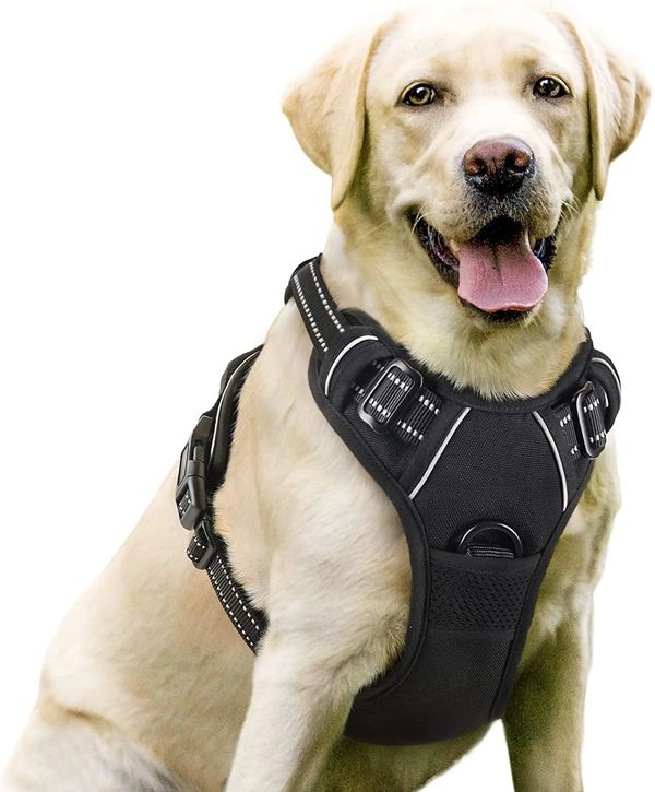 rabbitgoo Dog Harness, No-Pull Pet Harness with 2 Leash Clips, Adjustable Soft Padded Dog Vest, Refl