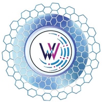 Well Vision Diagnostics