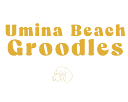 Umina Beach Groodles 