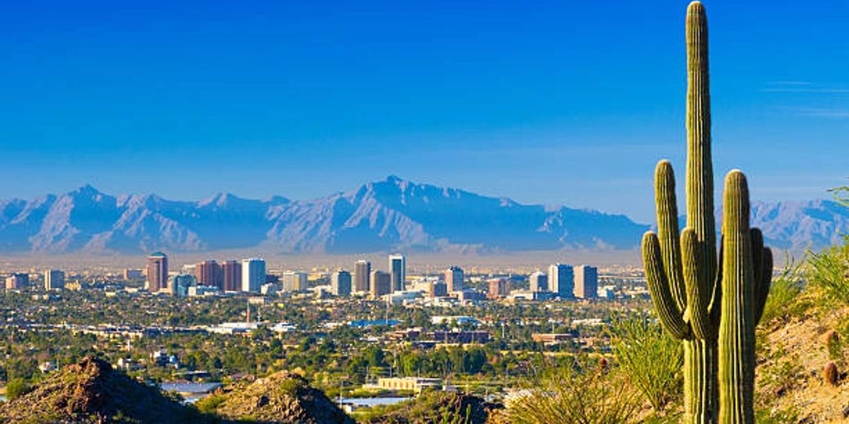 City skyline with desert cactus and mountains.