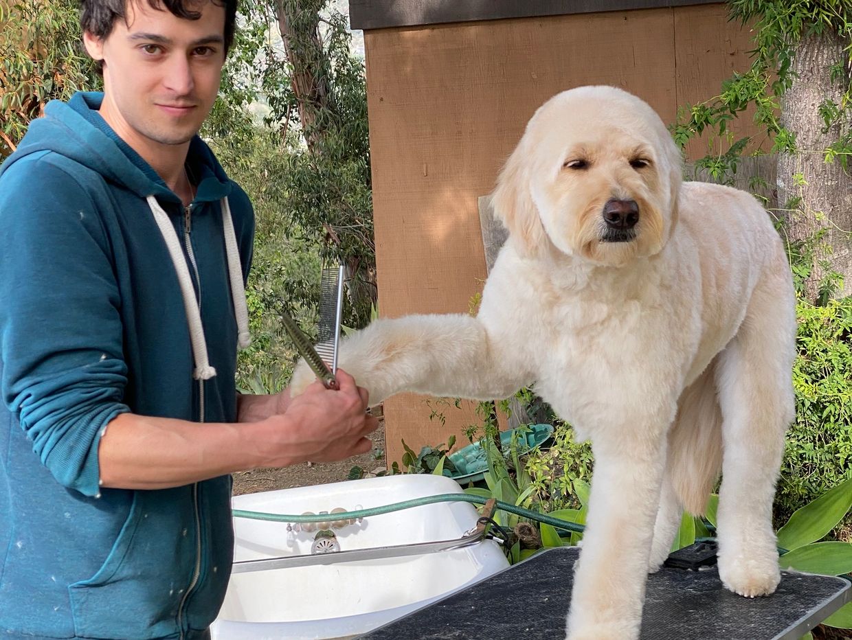 A man grooming a large fluffy dog outdoors on a grooming table.