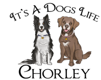 Its a Dogs Life Chorley