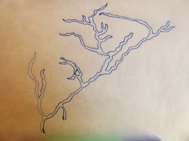 A stylised map of the Elster Creek Catchment 
