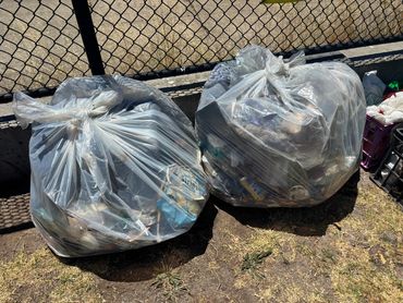 Bags of litter