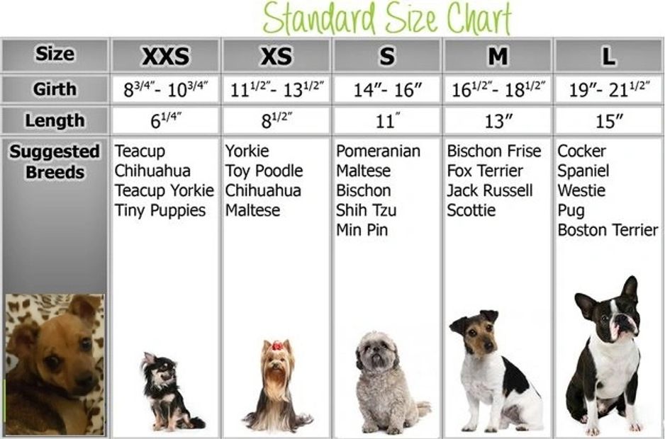 7 Dog Sizes Explained With Charts 7 Dog Sizes Explained With Charts